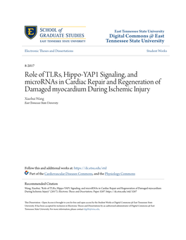 Role of Tlrs, Hippo-YAP1 Signaling, and Micrornas in Cardiac Repair and Regeneration of Damaged Myocardium During Ischemic Injur