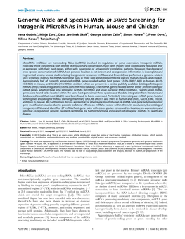 Genome-Wide and Species-Wide in Silico Screening for Intragenic Micrornas in Human, Mouse and Chicken