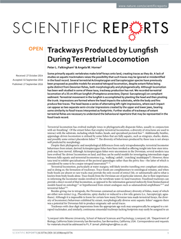 Trackways Produced by Lungfish During Terrestrial Locomotion Peter L