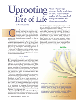 Uprooting the Tree of Life Copyright 2000 Scientific American, Inc