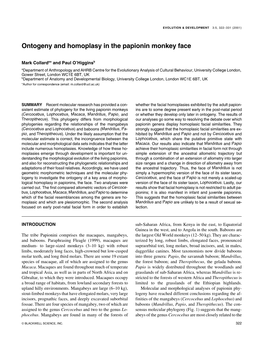 Ontogeny and Homoplasy in the Papionin Monkey Face