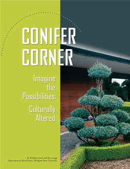 Conifer Corner, We Turn Our Attention to Conifers That Are Described As ‘Culturally Altered’ by the ACS (See Sidebar)