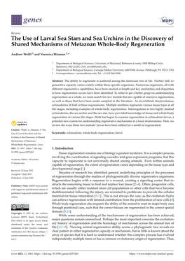 The Use of Larval Sea Stars and Sea Urchins in the Discovery of Shared Mechanisms of Metazoan Whole-Body Regeneration