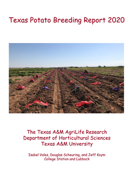 Texas Potato Breeding Report 2020