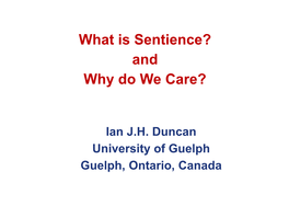 What Is Sentience? and Why Do We Care?