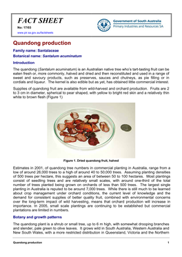 Quandong Production (SA)