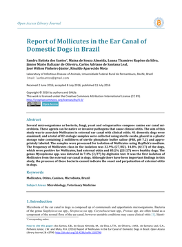 Report of Mollicutes in the Ear Canal of Domestic Dogs in Brazil