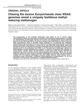 Chasing the Elusive Euryarchaeota Class WSA2: Genomes Reveal a Uniquely Fastidious Methyl- Reducing Methanogen