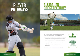 Australian Cricket Pathway Is Divided Into Three Stages - Foundation, Talent and Elite & Mastery