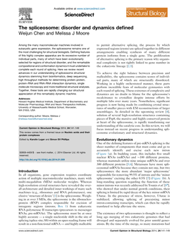 The Spliceosome: Disorder and Dynamics Defined