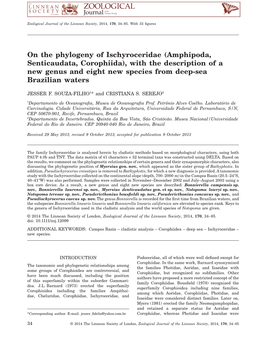 Amphipoda, Senticaudata, Corophiida), with the Description of a New Genus and Eight New Species from Deep-Sea Brazilian Waters