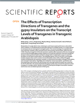 The Effects of Transcription Directions of Transgenes and the Gypsy