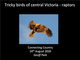 Tricky Birds of Central Victoria - Raptors