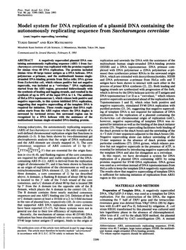 Model System for DNA Replication of a Plasmid DNA Containing The