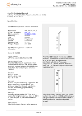 C6orf58 Antibody (Center) Affinity Purified Rabbit Polyclonal Antibody (Pab) Catalog # Ap10021c