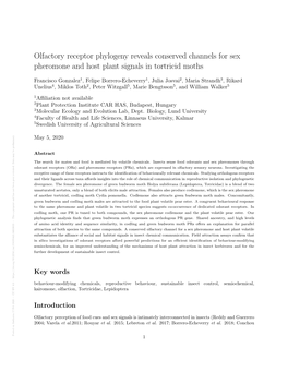 Olfactory Receptor Phylogeny Reveals Conserved Channels for Sex