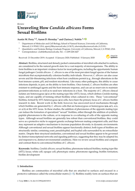 Unraveling How Candida Albicans Forms Sexual Biofilms