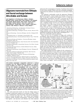 Oligocene Mammals from Ethiopia And