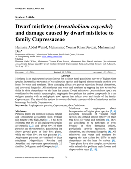 Dwarf Mistletoe (Arceuthobium Oxycedri ) and Damage Caused by Dwarf Mistletoe to Family Cupressaceae