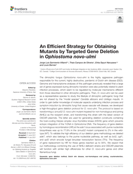 An Efficient Strategy for Obtaining Mutants by Targeted Gene Deletion