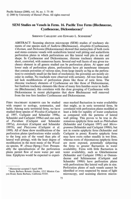 SEM Studies on Vessels in Ferns. 16. Pacific Tree Ferns (Blechnaceae, Cyatheaceae, Dicksoniaceae) 1