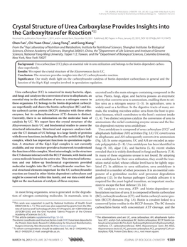 Crystal Structure of Urea Carboxylase Provides Insights Into The