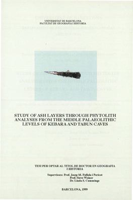 Study of Ash Layers Through Phytolith Analyses from the Middle Palaeolithic Levels of Kebara and Tabun Caves