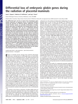 Differential Loss of Embryonic Globin Genes During the Radiation of Placental Mammals