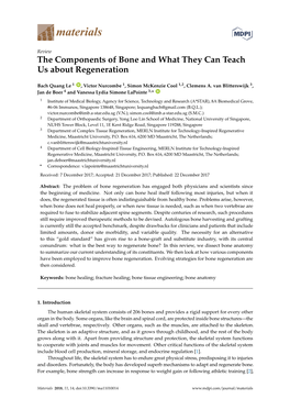 The Components of Bone and What They Can Teach Us About Regeneration