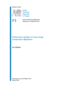 Performance Analysis of Lossy Image Compression Algorithms