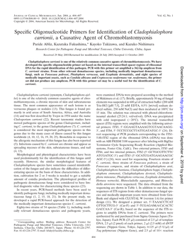 Specific Oligonucleotide Primers for Identification of Cladophialophora