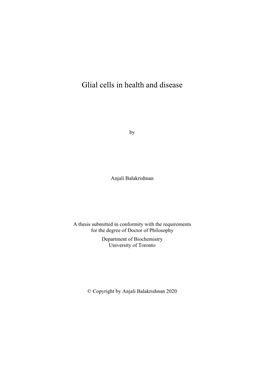 Glial Cells in Health and Disease