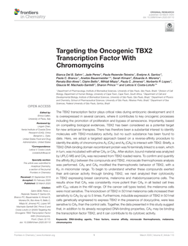 Targeting the Oncogenic TBX2 Transcription Factor with Chromomycins