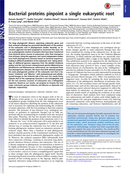 Bacterial Proteins Pinpoint a Single Eukaryotic Root PNAS PLUS