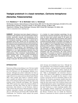 Vestigial Prototroch in a Basal Nemertean, Carinoma Tremaphoros (Nemertea; Palaeonemertea)