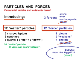 Fundamentals of Particle Physics