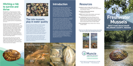 Freshwater Mussels of the Midwest