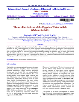 The Cardiac Skeleton of the Egyptian Water Buffalo (Bubalus Bubalis)