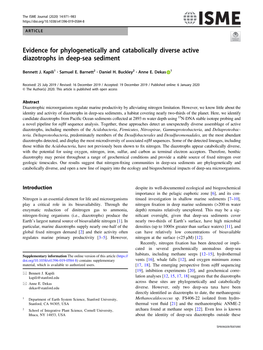 Evidence for Phylogenetically and Catabolically Diverse Active Diazotrophs in Deep-Sea Sediment