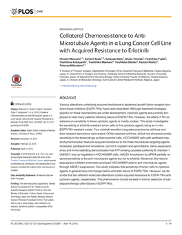 Collateral Chemoresistance to Anti-Microtubule Agents in a Lung Cancer Cell Line with Acquired Resistance to Erlotinib