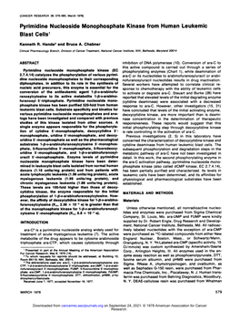 Pyrimidine Nucleoside Monophosphate Kinase from Human Leukemic Blast Cells1