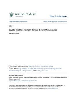 Cryptic Viral Infections in Benthic Biofilm Communities