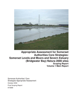 Appropriate Assessment for Somerset