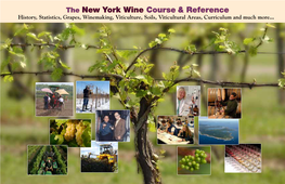 The New York Wine Course & Reference