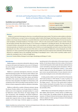 Life Cycle and Feeding Potential of Illeis Indica, a Mycovorous Ladybird Beetle on Powdery Mildew of Mulberry