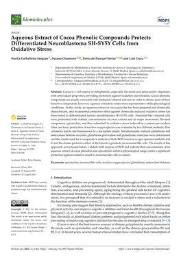 Aqueous Extract of Cocoa Phenolic Compounds Protects Differentiated Neuroblastoma SH-SY5Y Cells from Oxidative Stress