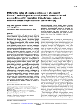 Differential Roles of Checkpoint Kinase 1, Checkpoint Kinase 2, and Mitogen-Activated Protein Kinase–Activated Protein Kinase