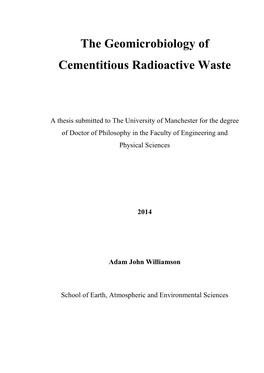 The Geomicrobiology of Cementitious Radioactive Waste