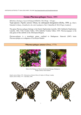 012 Genus Pharmacophagus Haase