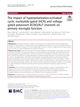 The Impact of Hyperpolarization-Activated Cyclic